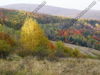 free photo texture of background autumn nature